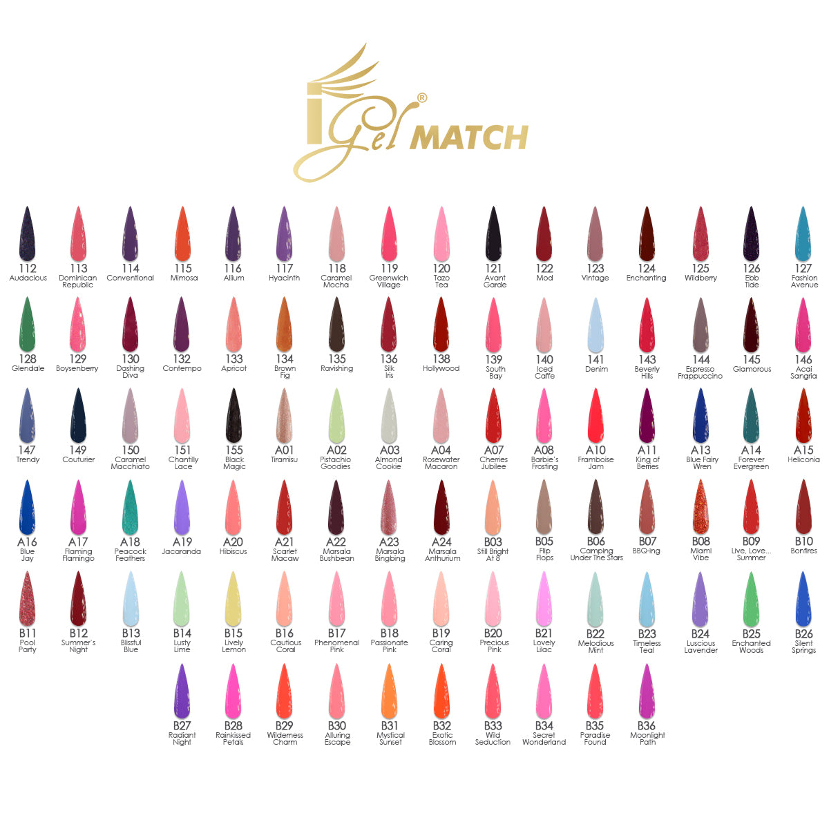 iGel Match Professional Collection