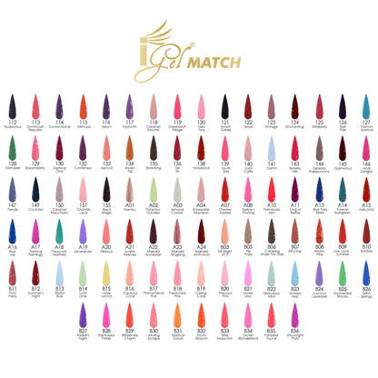 iGel Match Professional Collection