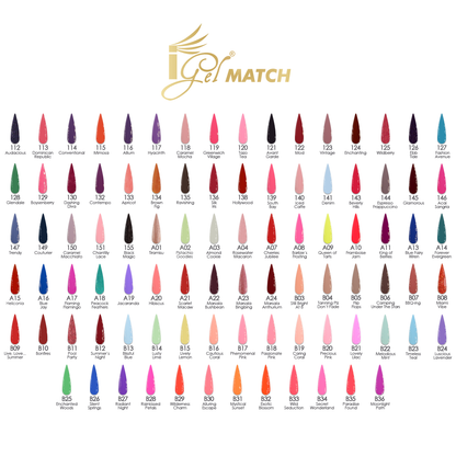 iGel Match Professional Collection