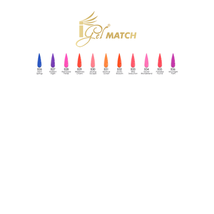 iGel Match Professional Collection