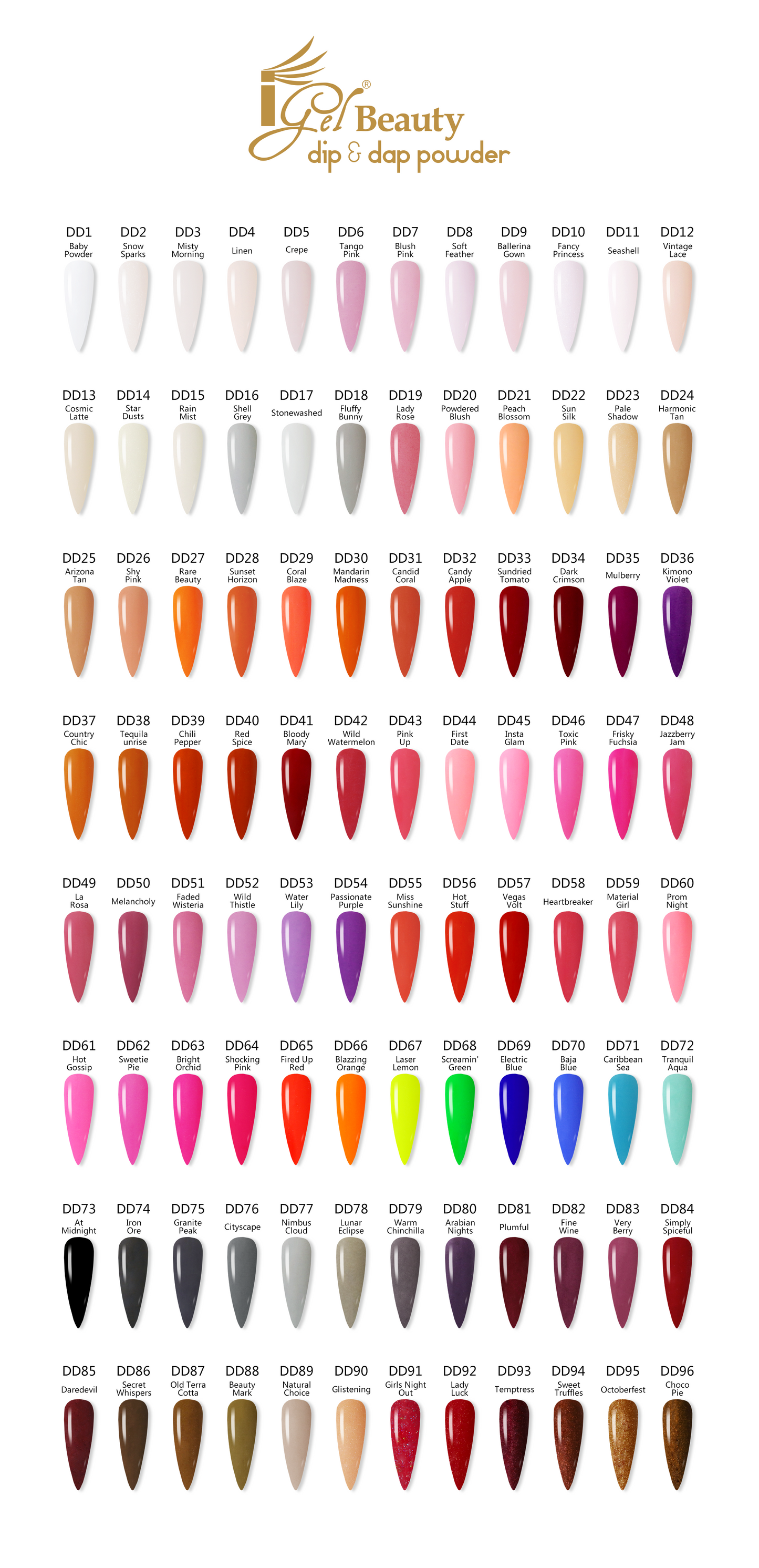 SPECIAL SALE BUNDLE - DIP & DAP 3 IN 1 PROFESSIONAL COLLECTION 1-247 + 2 MODEL XS 2.0